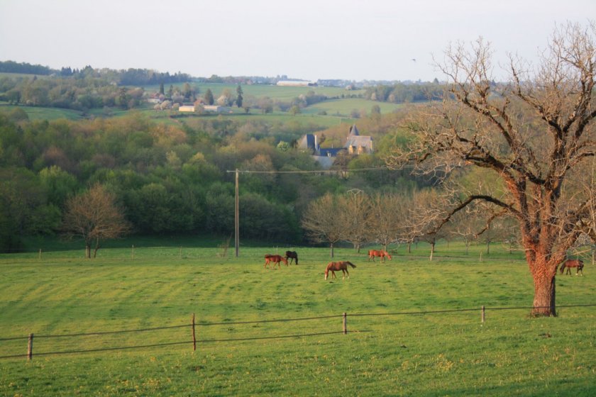 92-vue-du-gite-chevaux-chateau-ferme-de-petrus.jpg