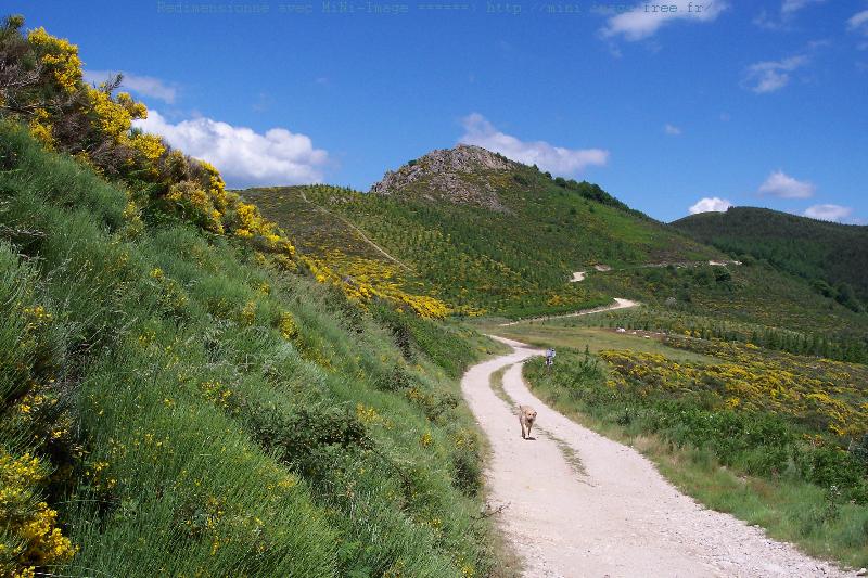 COL-CROIX-MILLET-PRINTEMPS-04-MiNi.JPG