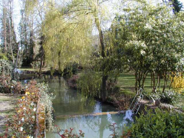 Etang-printemps.jpg