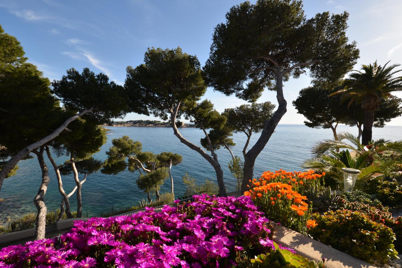 location vacances Bandol