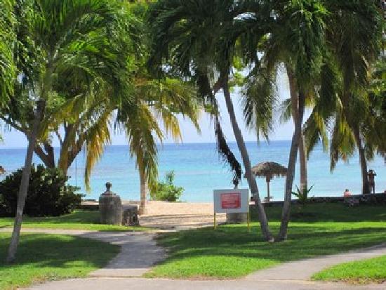 la-plage-au-pied-du-studio.jpg